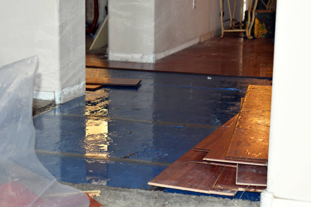 Professional Basement Flood Cleanup technician working in Lacona, IA